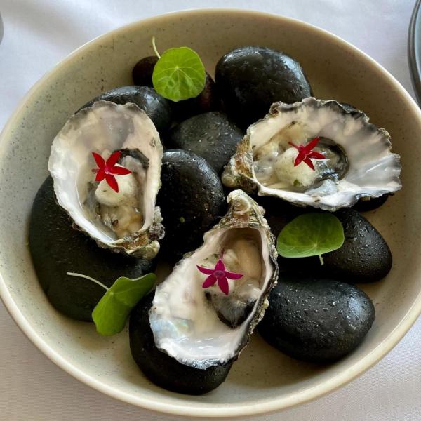 Oysters