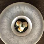 Scallops 2